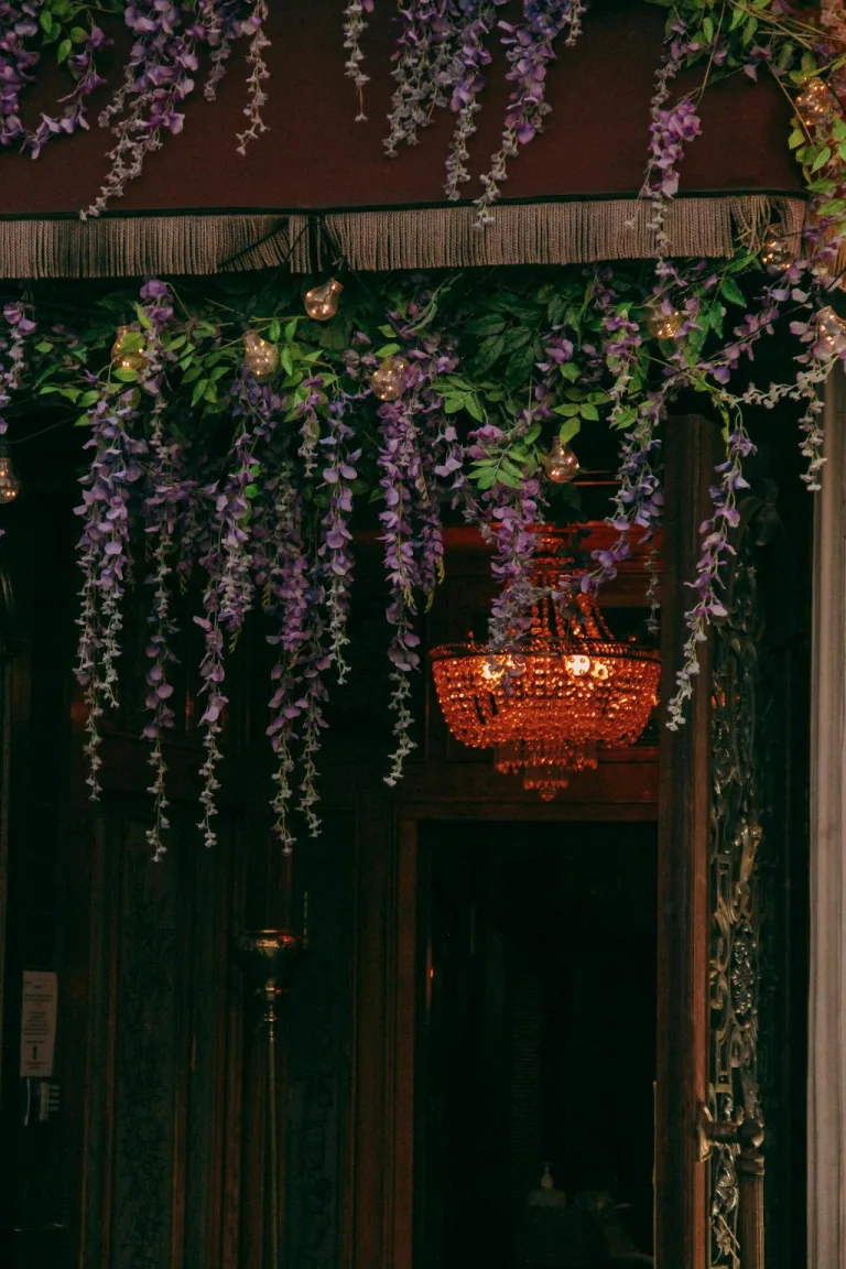 can i grow wisteria in a pot 1708736939 2